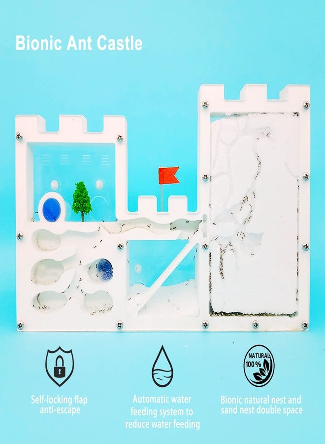 EXBEPE Large Sand Ant Farm Castle,Ant Habitat Ecosystem to Study Ant Colony Behavior Science Educational Kit for Kids - Image 3